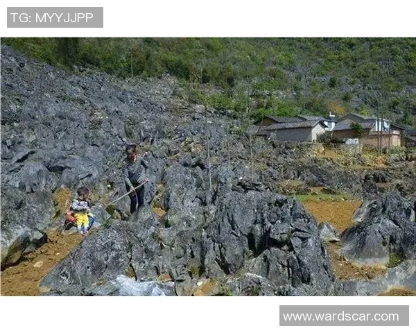 重庆极限运动队的精神探索与团队意识的深度剖析